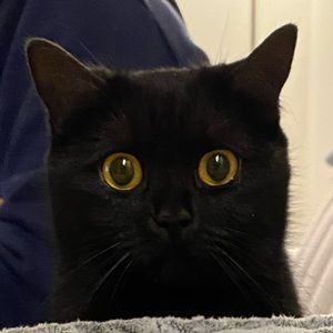 Meet your Posher, Sandra